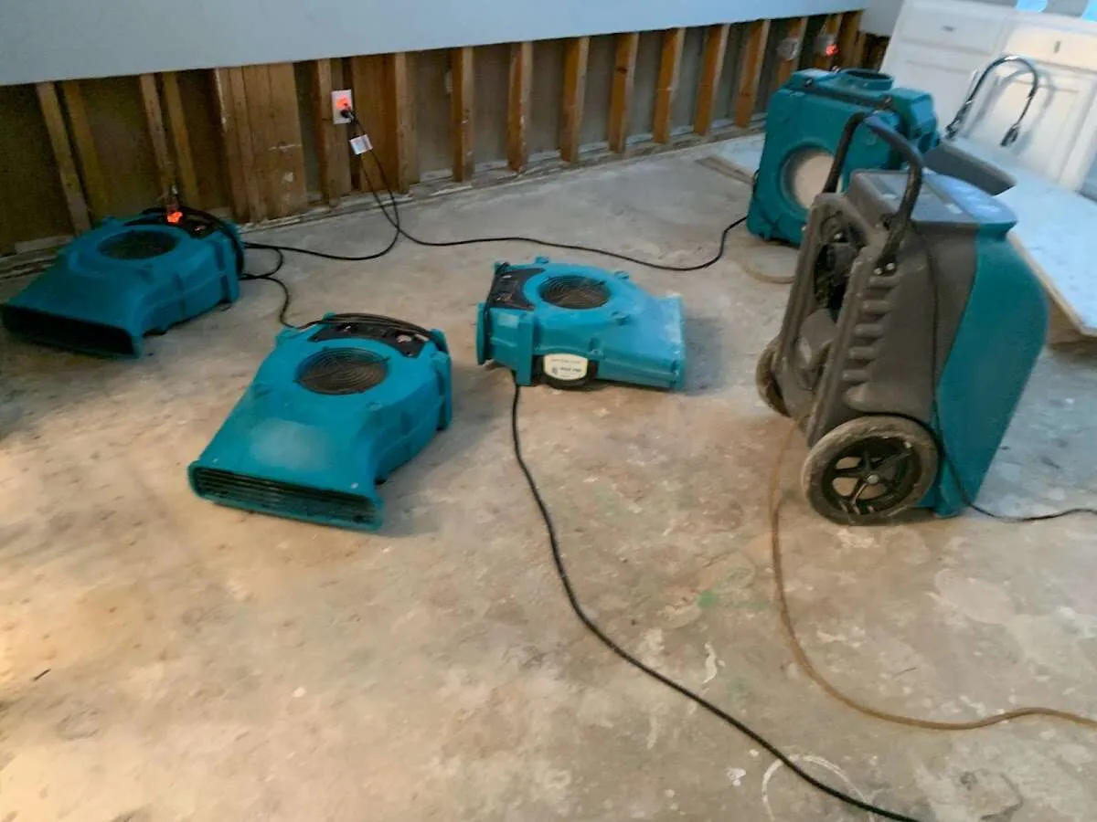 Water Damage Restoration services in Holland, MI